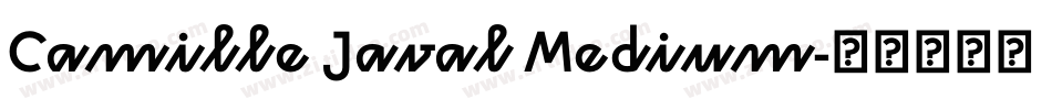 Camille Javal Medium字体转换